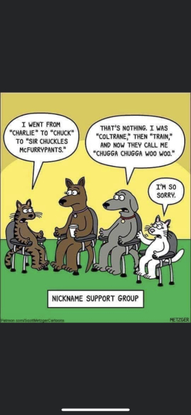 What do you call your dog…?