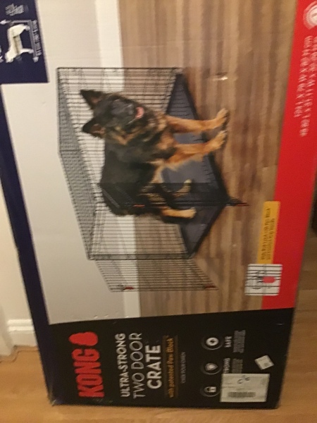 Puppy Survival Thread - as we approach Fireworks night for the first time…