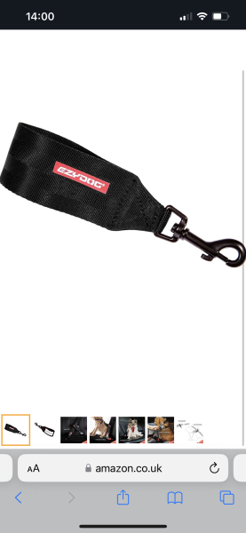 Please give me product recommendations for puppy (small dog) 