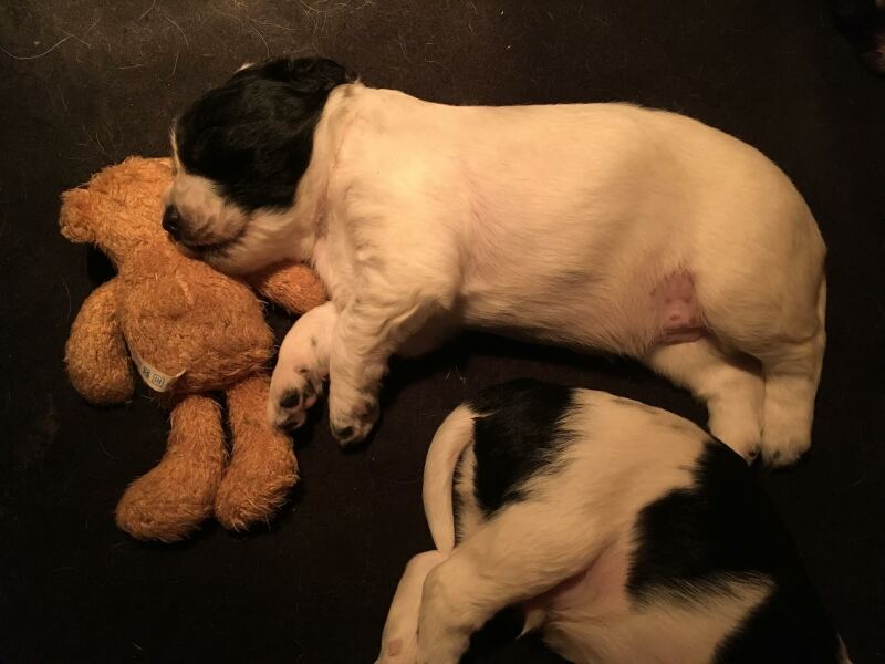 Thread 6 - TalkExiles: "Yup, still round."