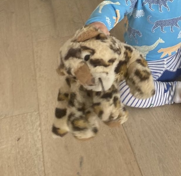 People of South London! Lost toy 🧸 