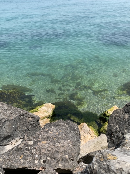 Best city to visit in Italy??