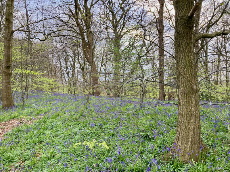 Thread 7 - TalkLair: “In fact it’s an oblate spheroid”