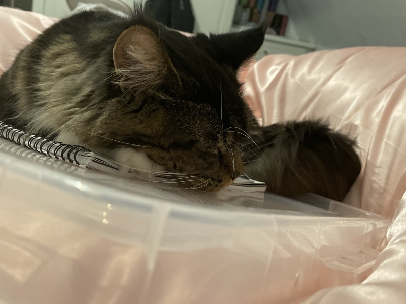 Come and tell me your dull and unexciting news 25: Calmly through the day 