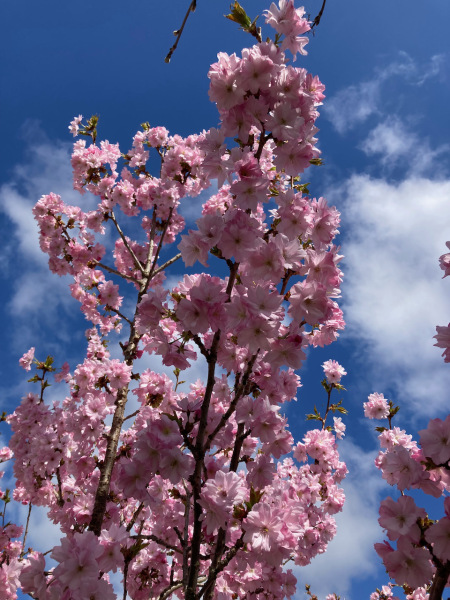 Thread 6 - TalkExiles: "Yup, still round."