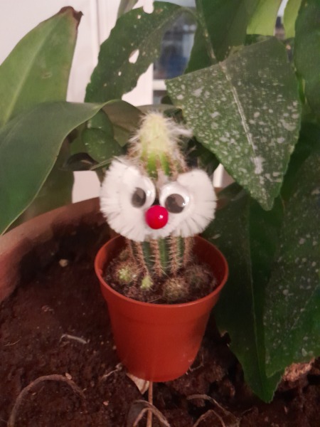 How do I remove sinister Santa outfit from a cactus?