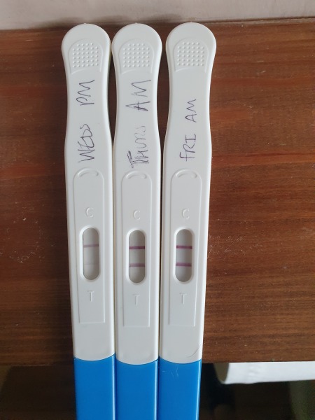 Bleeding in early pregnancy...help!