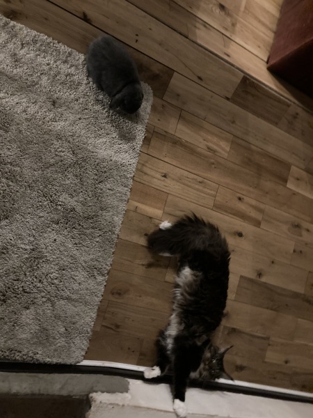 Come and tell me your dull and unexciting news 25: Calmly through the day 