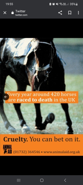 Anyone watching the Grand National? 