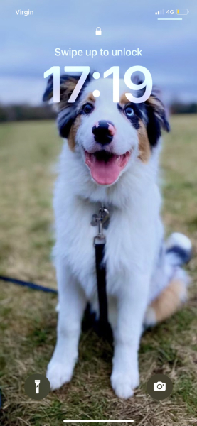 Are there any Aussies here?