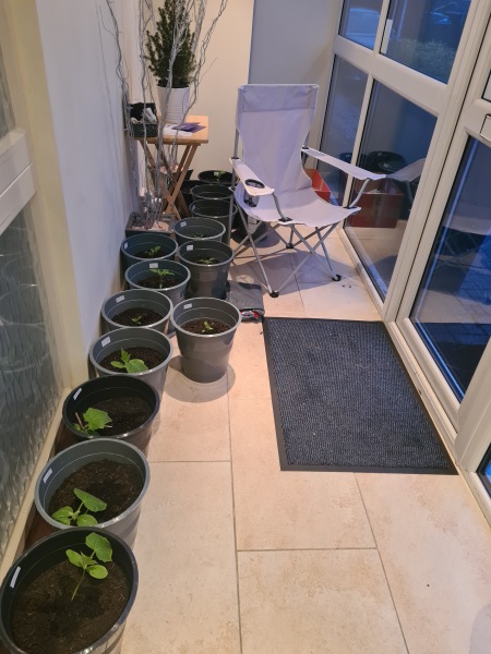 A greenhouse newbie - break it down for me?!