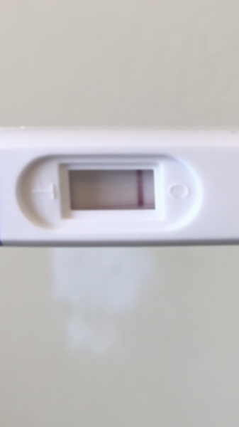 my pregnancy test