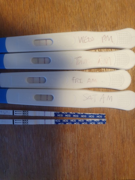 Going mad- chemical pregnancy? Ahould hcg have dropped?