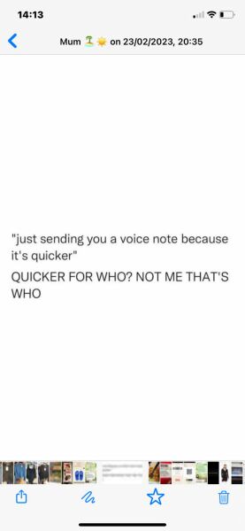 WhatsApp voice notes / voice messages 
