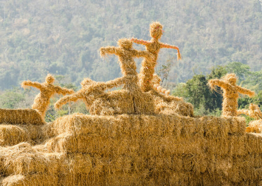 to point out that one Y chromosome does not make you a male