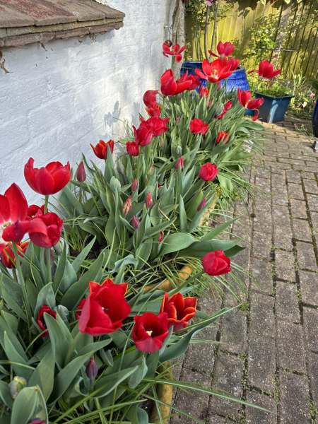 Autistic women assemble!