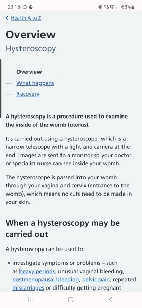 Talk to me about a hysteroscopy 