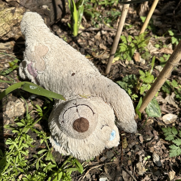 Thread 6 - TalkExiles: "Yup, still round."