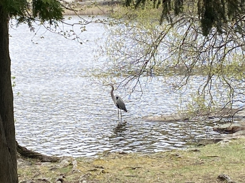 Come and tell me your dull and unexciting news 25: Calmly through the day 