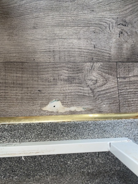 Dogs ruined my lino!
