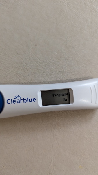 Due December 2023 part 2