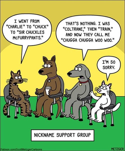 What do you call your dog…?