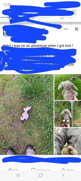 Anyone have a bunny rabbit like this? Desperate mum.