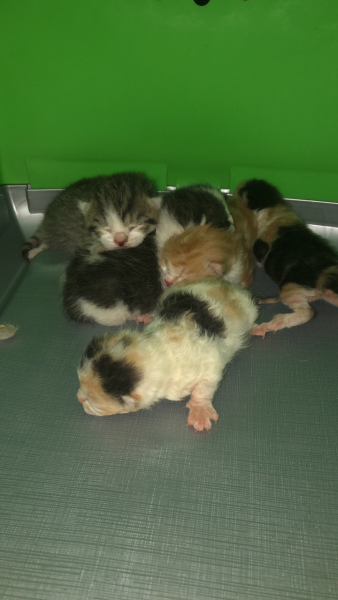 Advancing into April - Frugal Friends still being, er, Frugal.