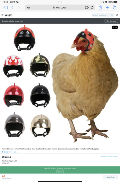 How do I remove sinister Santa outfit from a cactus?