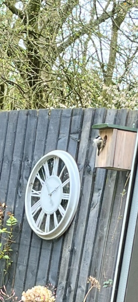 What do you love in your garden at the moment?