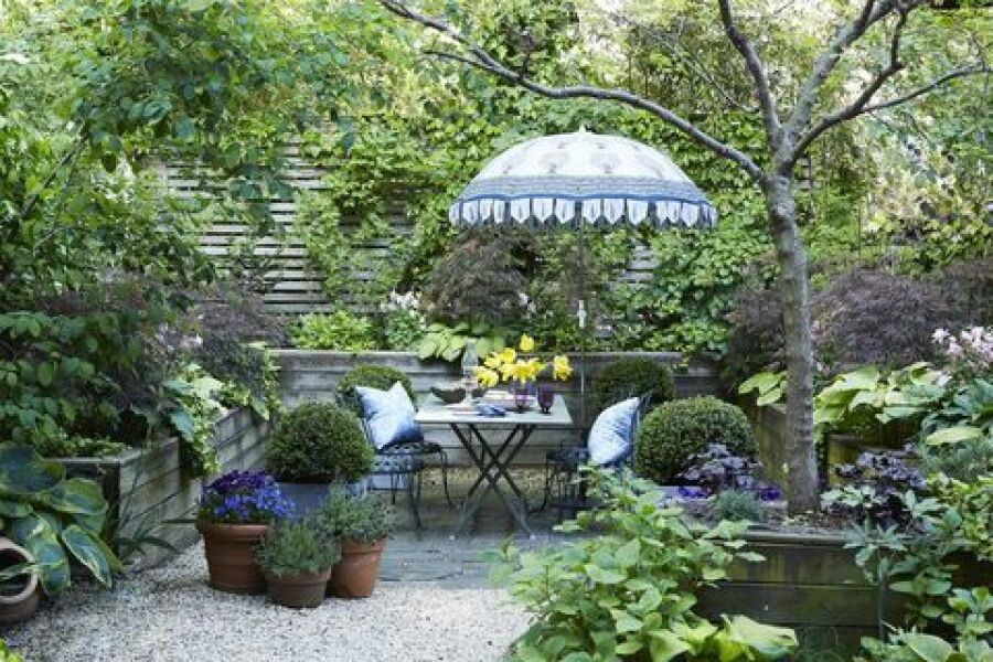Turning a small patio garden into a mini wildflower meadow 