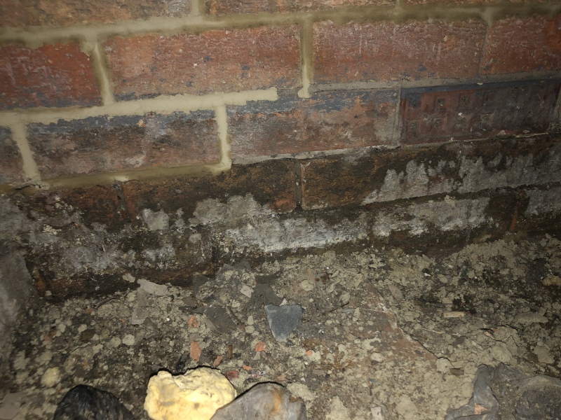 RISING DAMP BACK? 