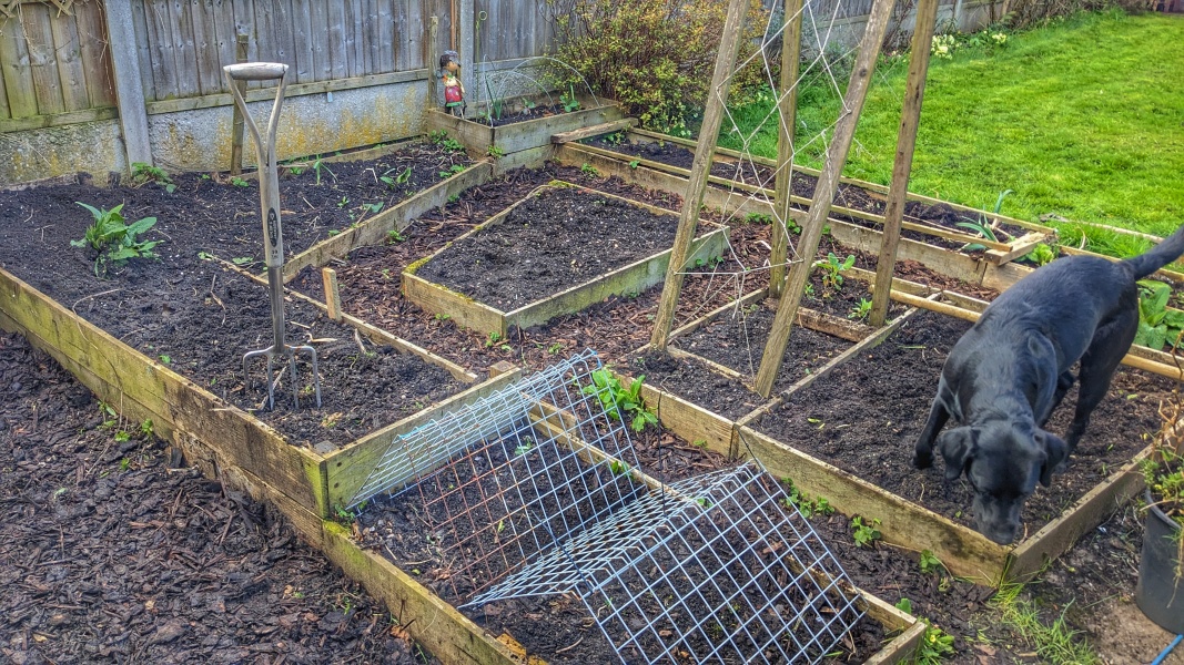 The Vegetable Patch Mark 2