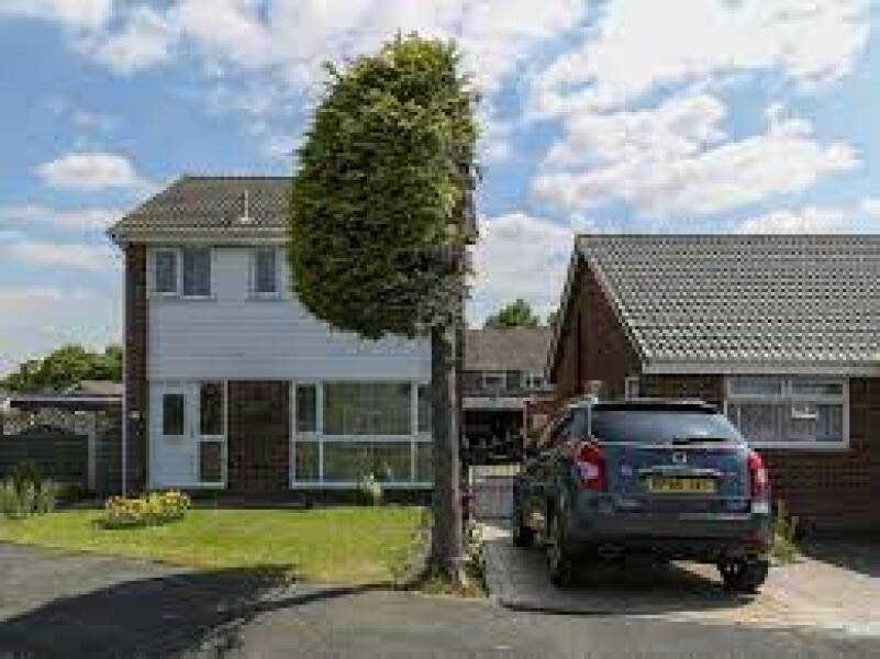 Neighbour wants tree cut down