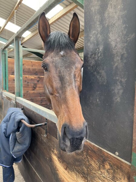 Anyone watching the Grand National? 