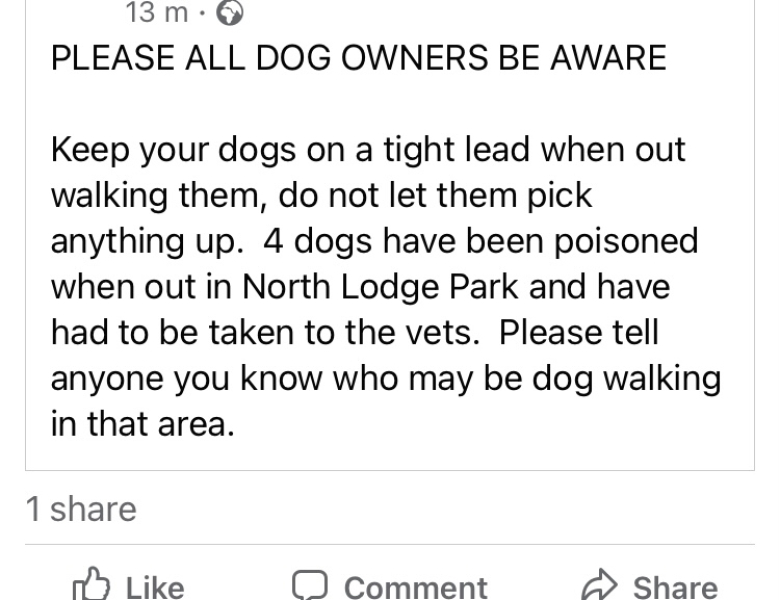 A plea to dog-owners 