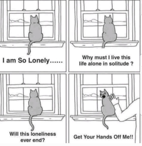 The Freedom Thread (continued) - A thread for people wanting to enjoy an alcohol free life. Everyone welcome!