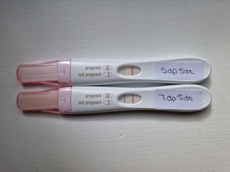 Pregnant after IVF