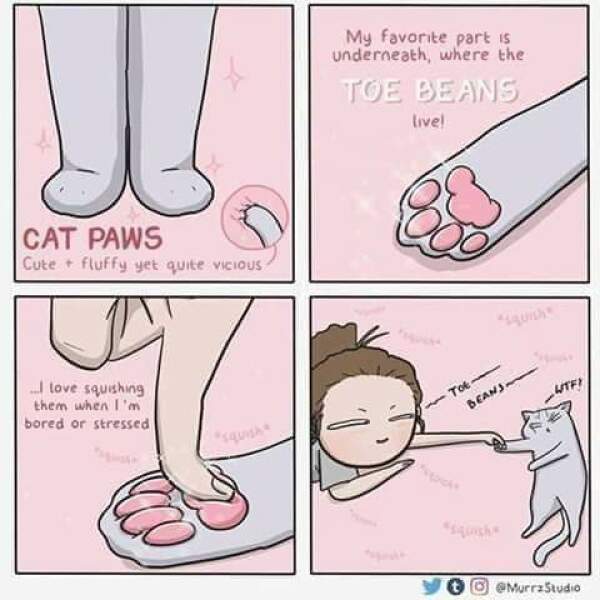 Toe Beans 