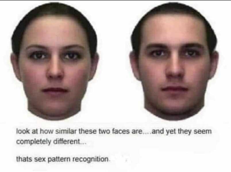 To think that sex and gender are the same thing?