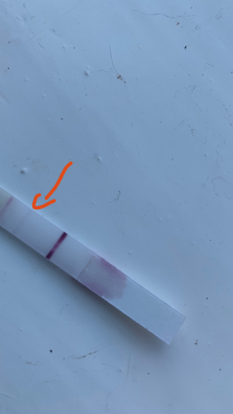 Pregnant?