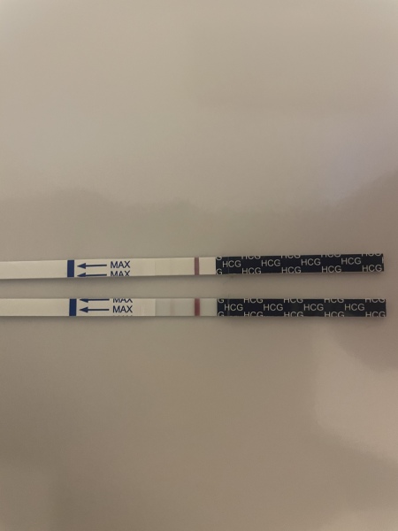 12 dpo line
