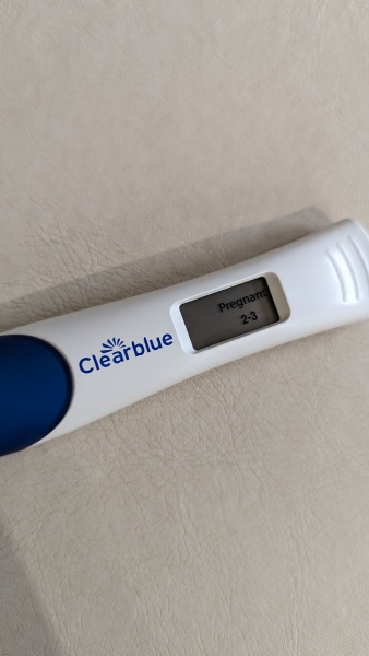Due December 2023 part 2