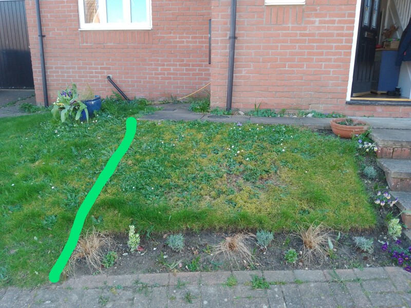 Advice for my annoying front garden.