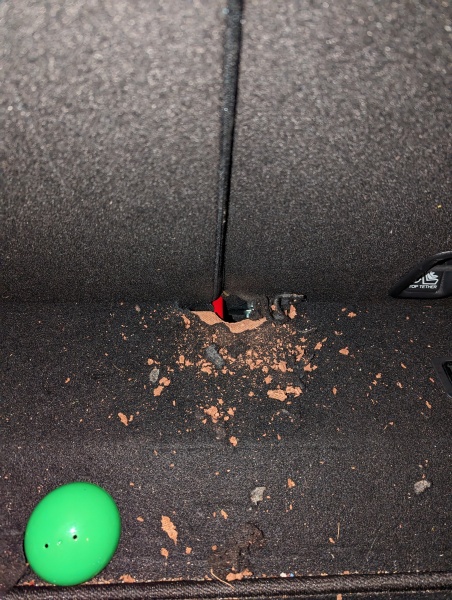 Rat Infestation has cost us thousands