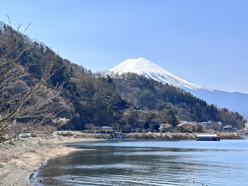 Japan  - where to go tips