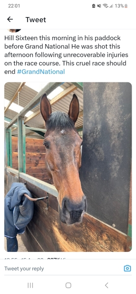 Anyone watching the Grand National? 