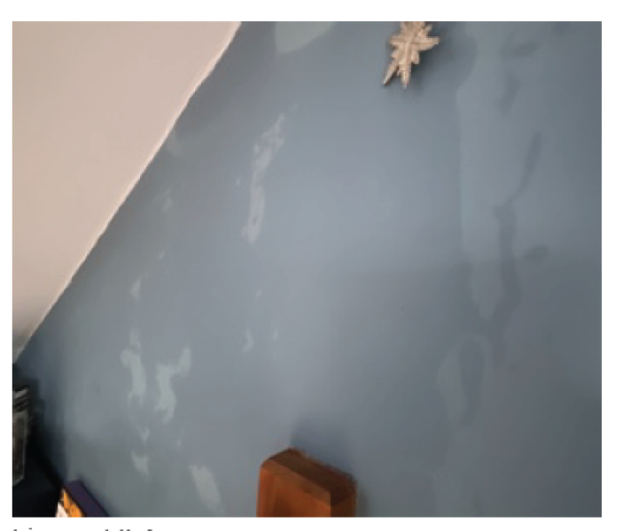 Dampness on party wall (chimney stacks)