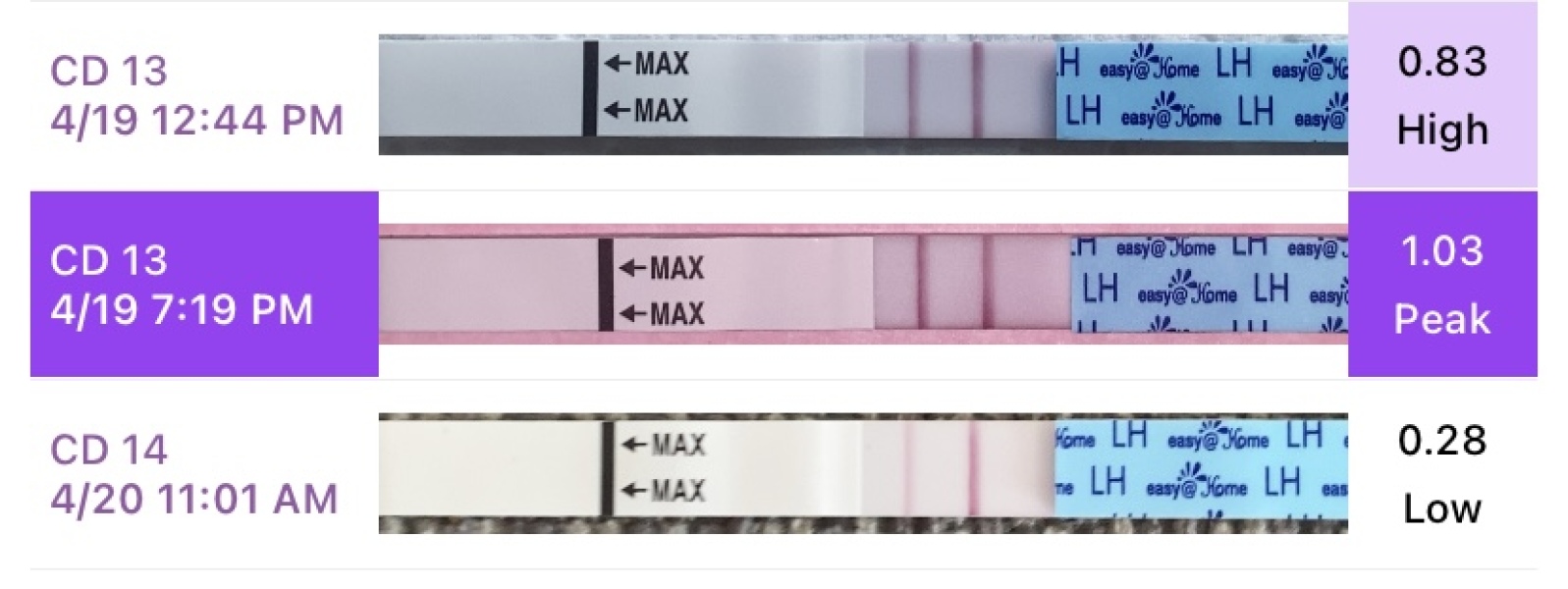 Anyone else TTC #1? Just looking for TTC buddies!