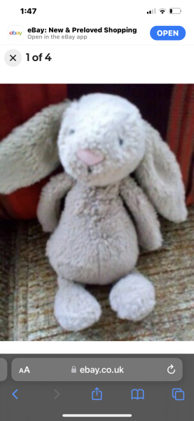 Anyone have a bunny rabbit like this? Desperate mum.